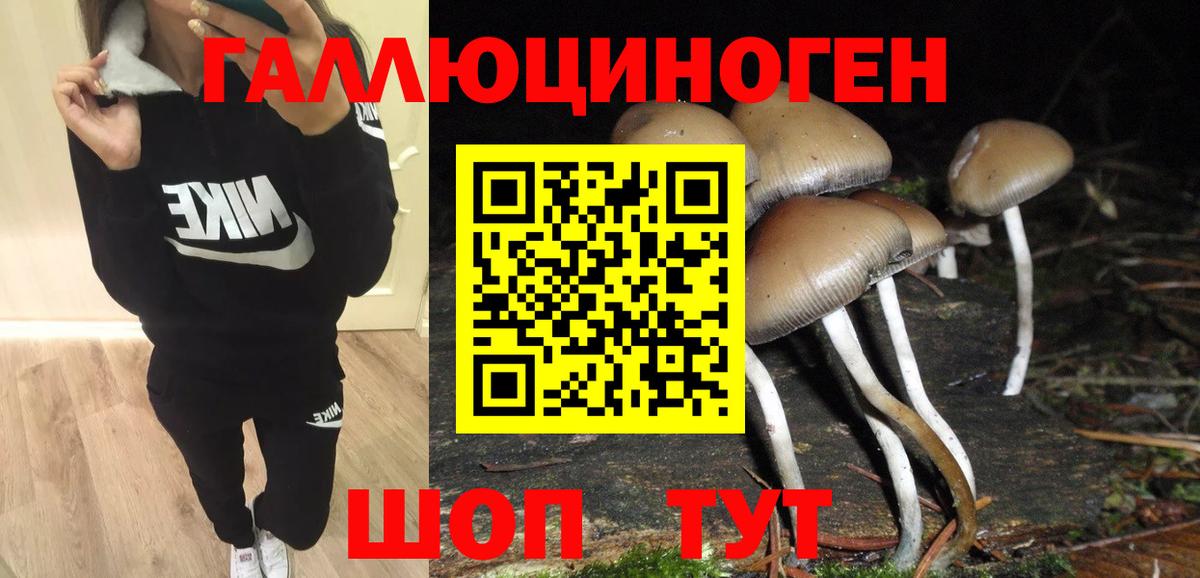 Псилоцибиновые грибы Magic Shrooms  Псилоцибиновые грибы Psilocybe  наркошоп  Когалым  Вход с VPN 